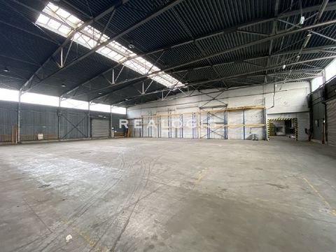 Hamburg Halle, Hamburg Hallenfläche