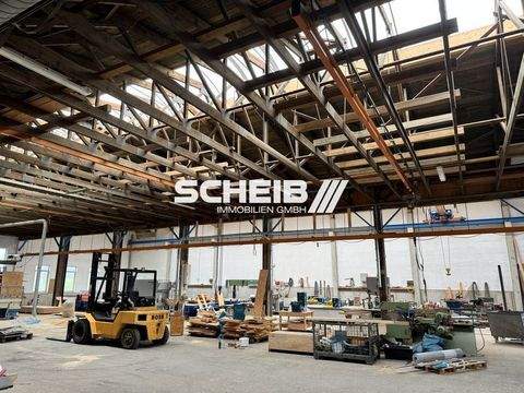 Blaufelden Halle, Blaufelden Hallenfläche