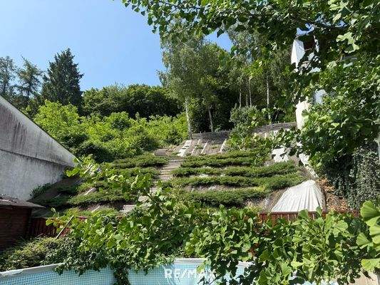 Aufgang zum Relax Plateau & Wald