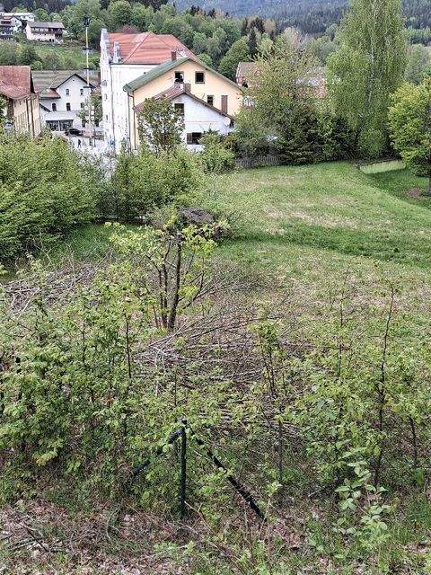 Bayerisch Eisenstein Grundstücke, Bayerisch Eisenstein Grundstück kaufen
