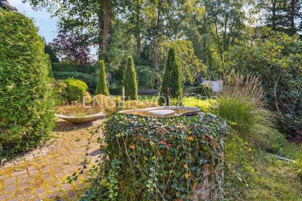 Blick von Terrasse 2 in den vorderen Garten 