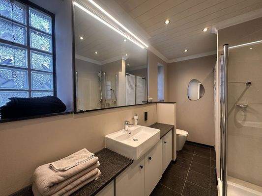 Tageslicht Duschbad 