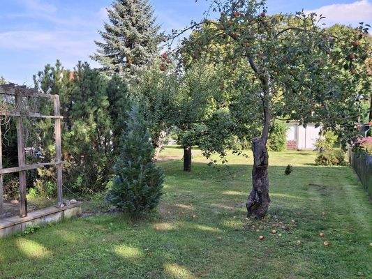 Bilder aus dem Sommer