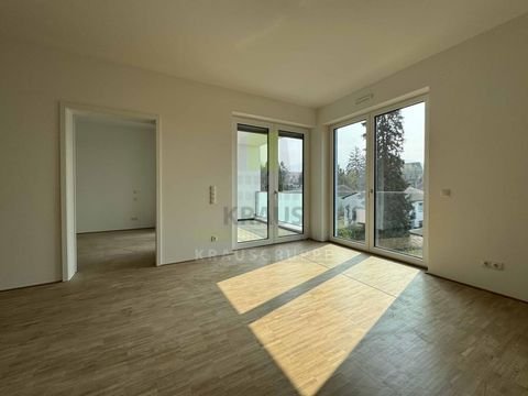 Heidelberg Wohnungen, Heidelberg Wohnung mieten
