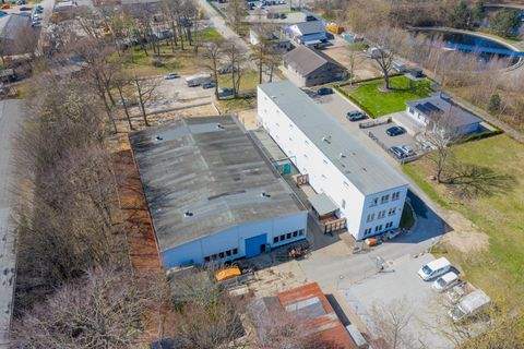 Rostock Halle, Rostock Hallenfläche