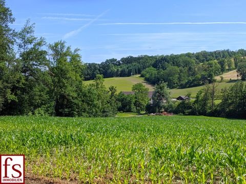 Scharten Bauernhöfe, Landwirtschaft, Scharten Forstwirtschaft