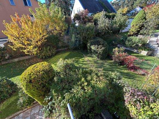 1 Blick in den Garten