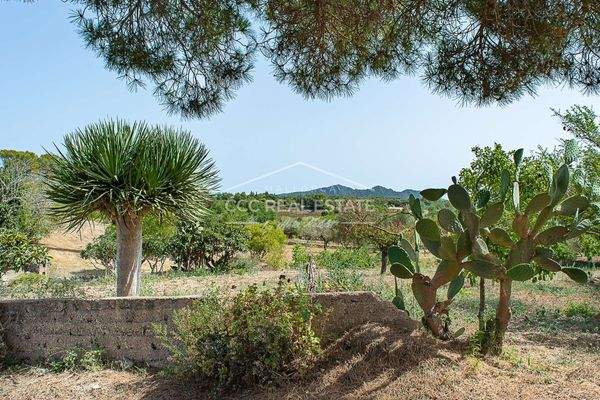 Herrlicher Blick auf...