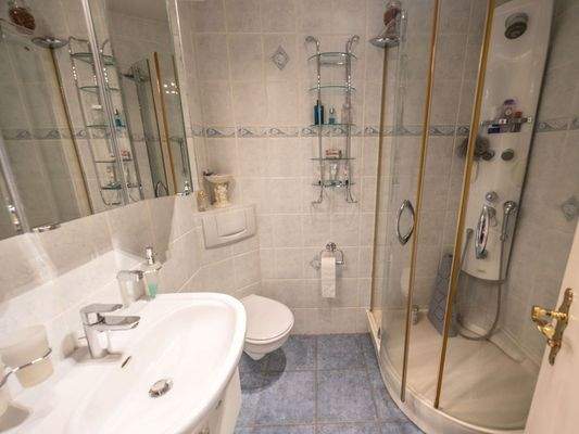 Blick in das Duschbad