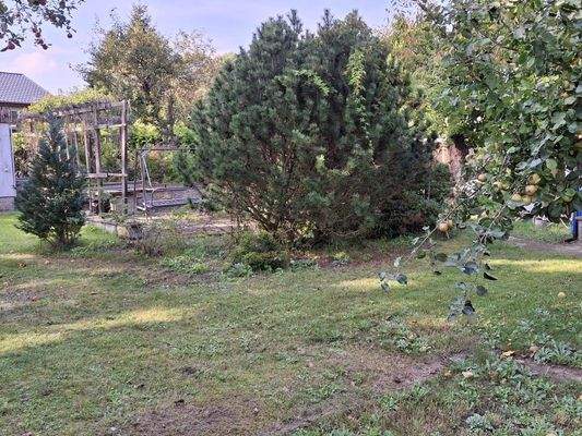 Bilder aus dem Sommer