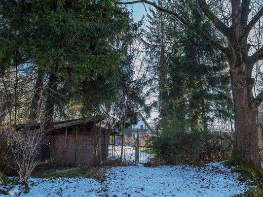 Blick vom Mühlbach.jpg