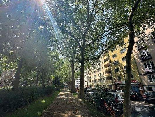 Rathenau5 Scout 731_550 px.jpg