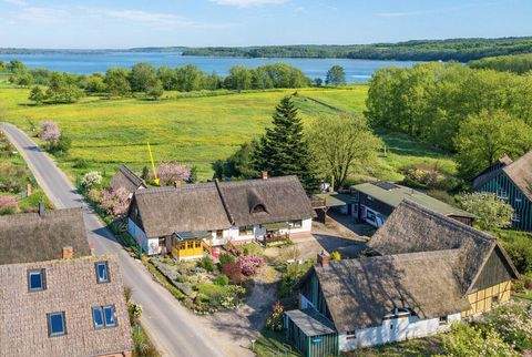 Benz Häuser, Benz Haus kaufen