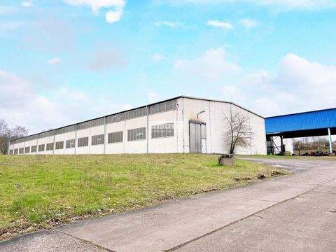 Eisenach Halle, Eisenach Hallenfläche