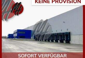 INFOS UNTER: 06171-586000