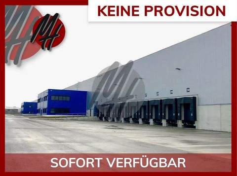 Montabaur Halle, Montabaur Hallenfläche