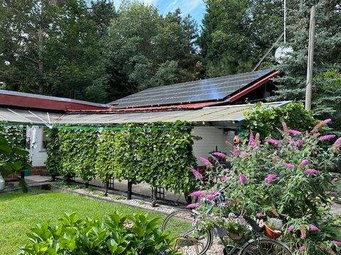 Wittenberg Häuser, Wittenberg Haus kaufen