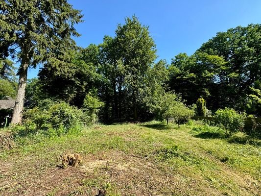 Blickachse zum Garten