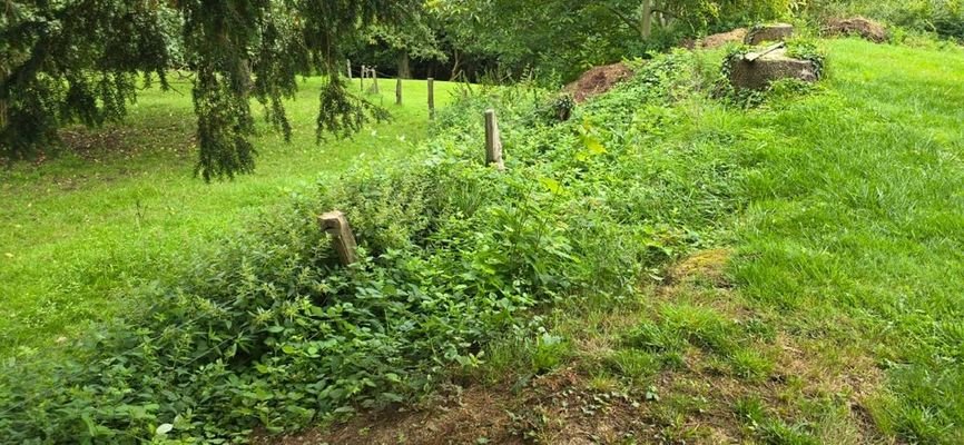 Grenzbereich zu den Weiden 