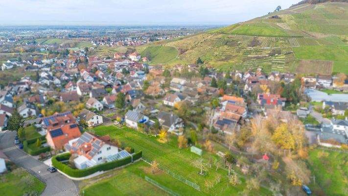 haus-baden-baden-neuweier-wolf-immobilien-drohnenaufnahme