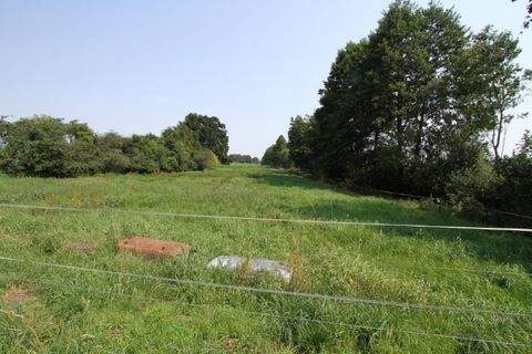 Lensahn Bauernhöfe, Landwirtschaft, Lensahn Forstwirtschaft