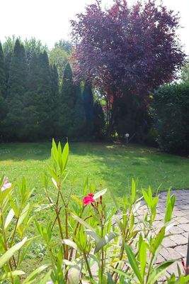 Sonnen- und Schattenbereiche