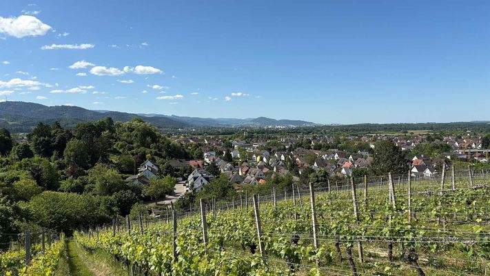 Blick vom Mauracher Berg in Richtung Freiburg