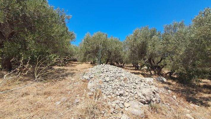 Kreta, Plaka: Zwei erstklassige Grundstücke in Plaka – Meerblick und zentrale Lage