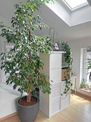 Herrlich viel Tageslicht