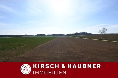 Breitenbrunn Wohnungen, Breitenbrunn Wohnung mieten