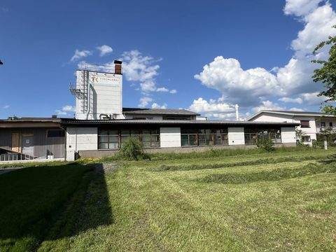 Lustenau Halle, Lustenau Hallenfläche