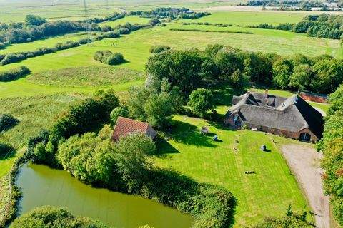 Tating Häuser, Tating Haus kaufen