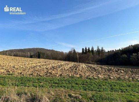 Graz Grundstücke, Graz Grundstück kaufen