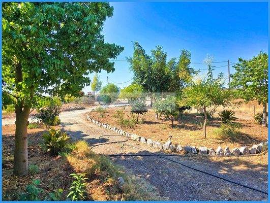 28f2466ed9714d21a70421250fa00457-original