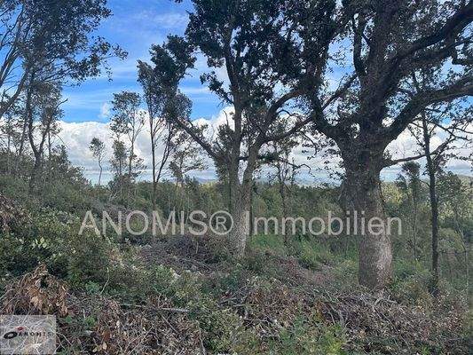 Grundstück 8 ha