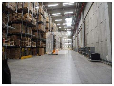 Oberkrämer Halle, Oberkrämer Hallenfläche