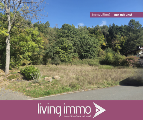 25261_Einortstraße Eckelshausen