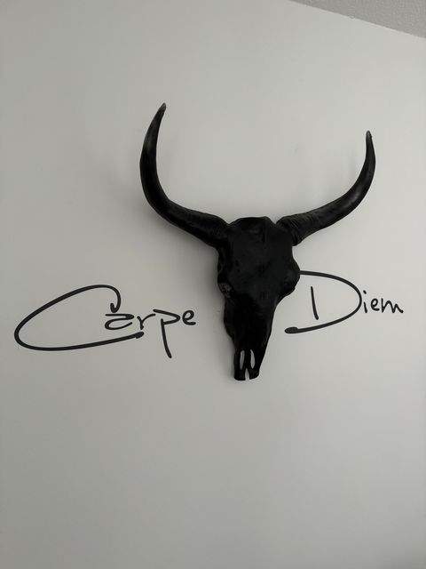 Leipzig Wohnen auf Zeit, möbliertes Wohnen