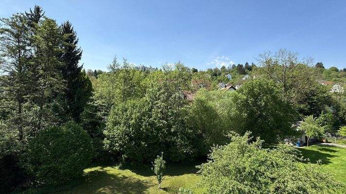 Aussicht  vom Balkon