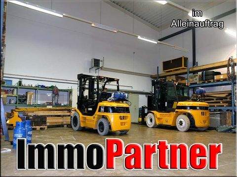 Hamburg Halle, Hamburg Hallenfläche