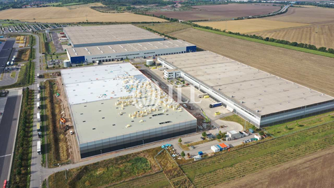 Erfurt Halle, Erfurt Hallenfläche