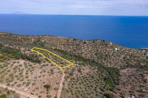 Thassos, Rachoni Grundstücke, Thassos, Rachoni Grundstück kaufen