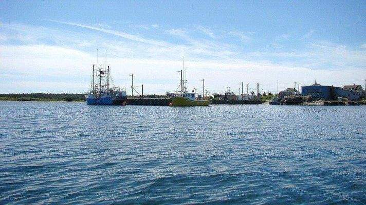 Fischerhafen Umgebung