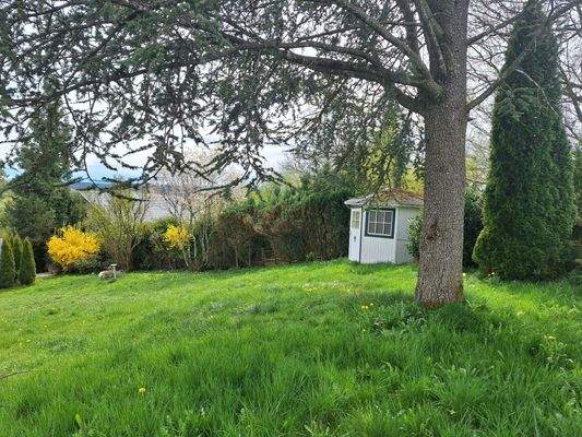 Garten übergehend zu Wiesen