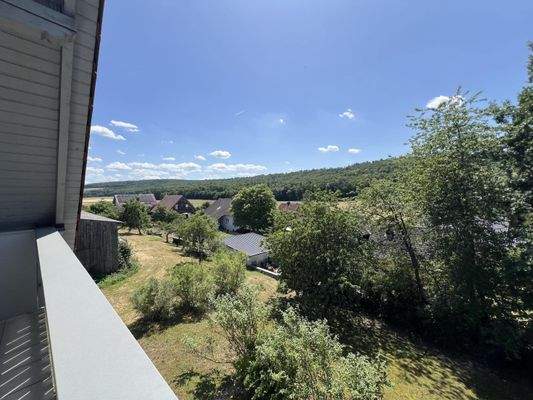 Ausblick in's Grüne