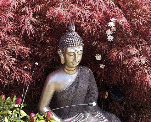 Hamburg Häuser, Hamburg Haus kaufen