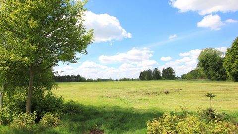 Edewecht Bauernhöfe, Landwirtschaft, Edewecht Forstwirtschaft