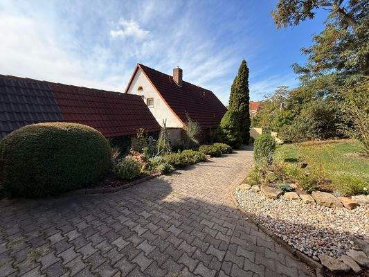 WhatsApp Image 2025-09-24 at 12.37.03