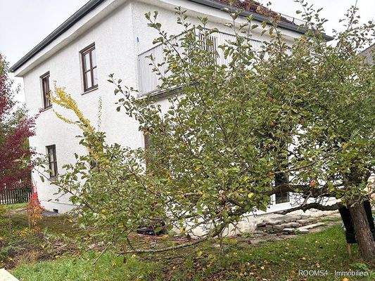 Altbestand mit Apfelbaum