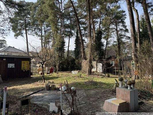 Grundstück mit Baumbestand